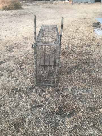 Bobcat live traps - Nex-Tech Classifieds