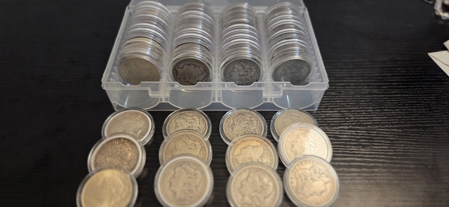 Morgan and Peace Silver Dollars - Nex-Tech Classifieds