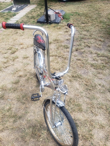 roadmaster bling bling bike