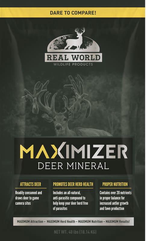 Blind beauty book report 02 picture