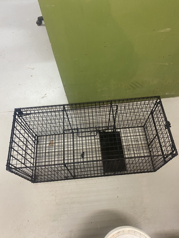 36-Inch Live Animal Cage Trap