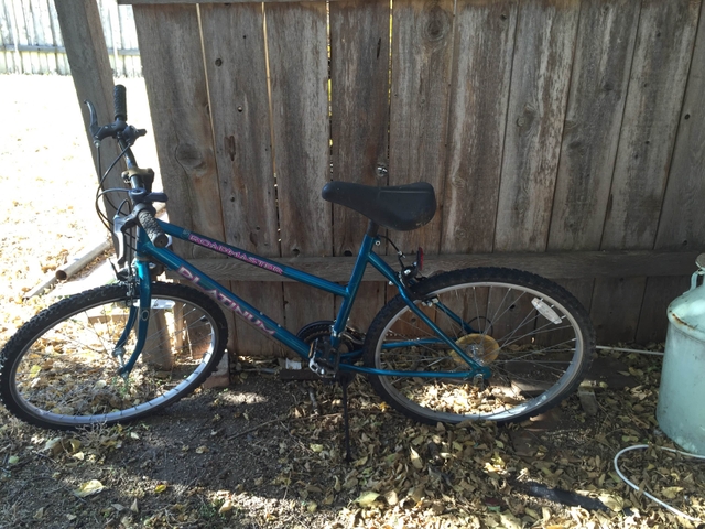 Roadmaster mountain bike online price