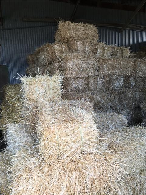 Small Square Straw Bales - Nex-tech Classifieds