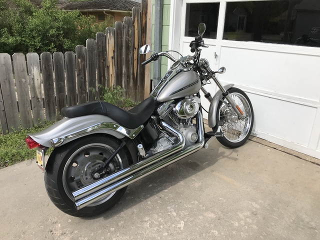 Softail on sale standard 2007