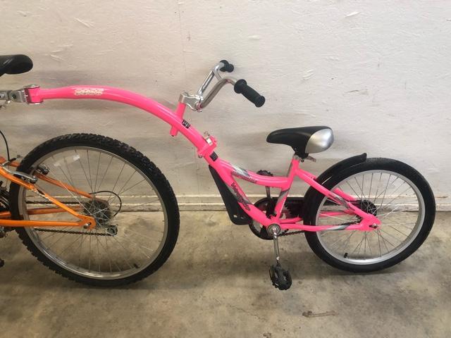 weeride co pilot tagalong