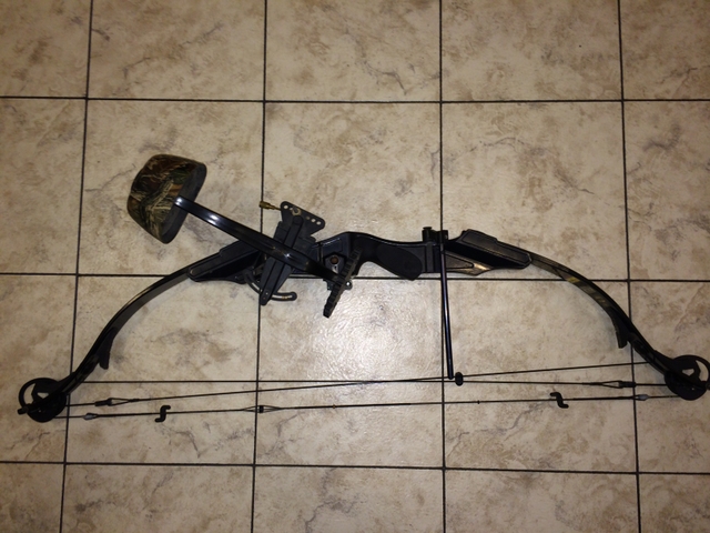 Compound Bow Golden Eagle Super Hawk 45 60 Lbs 31 32 Draw