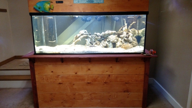 300 gallon aquarium