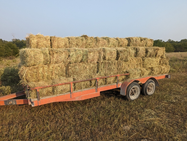 Prairie Hay Square Bales Nex Tech Classifieds