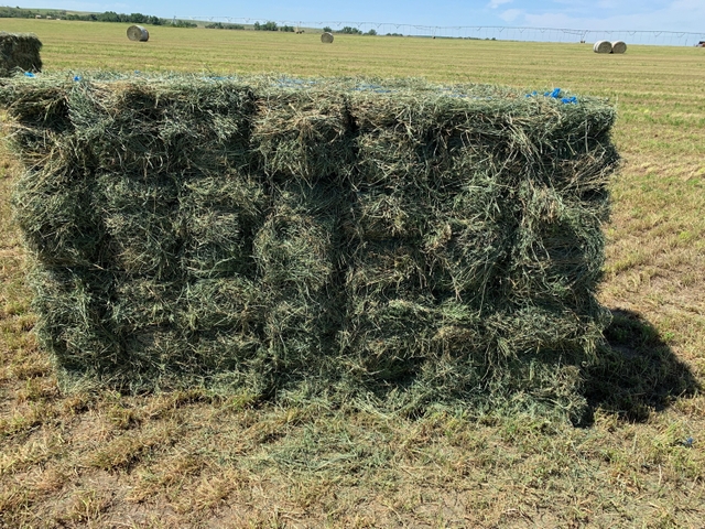 Orchard Alfalfa Mix - Small Square Bales - Nex-Tech Classifieds