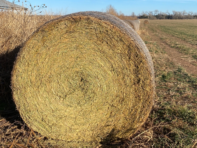 Alfalfa 5x6 Round Bales Nex Tech Classifieds