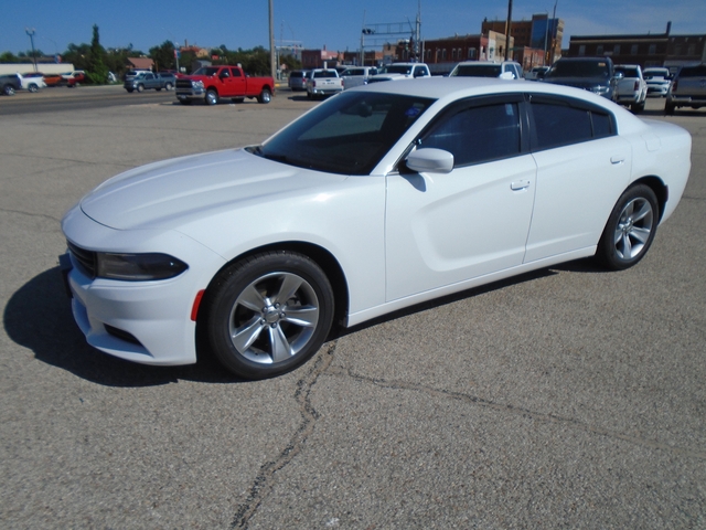 Dodge Charger R/T 2016 blanche au 1/24 - Collection