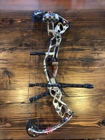 Hoyt deals carbon defiant