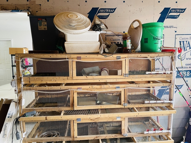 homemade quail cages