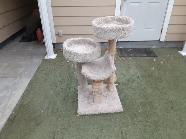 Marshalls store cat tree