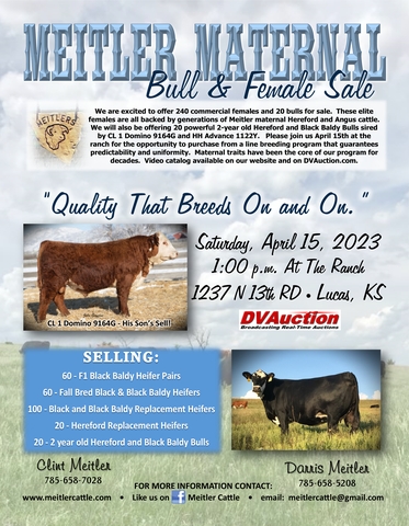 Hereford Bulls Sell Saturday - Nex-tech Classifieds