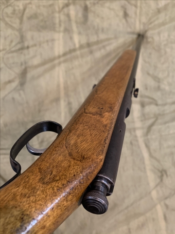 Springfield Model 83 SL/LR .22 - Nex-Tech Classifieds