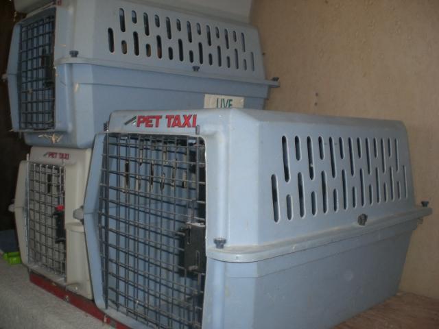 Plastic Pet Carrier - City of Fort Collins