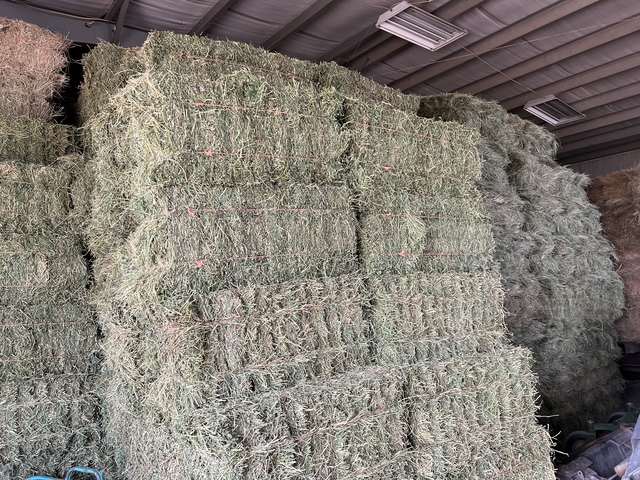 small square alfalfa bales - Nex-Tech Classifieds