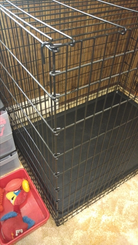 Frisco xxl hotsell dog crate