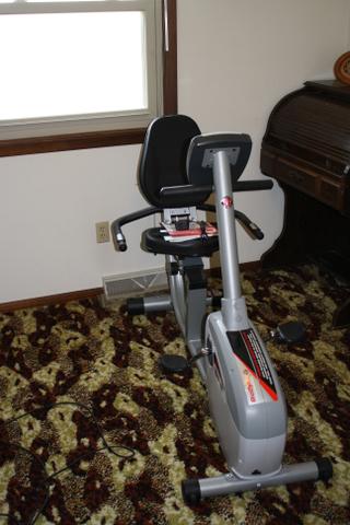 schwinn recumbent exercise bike stores