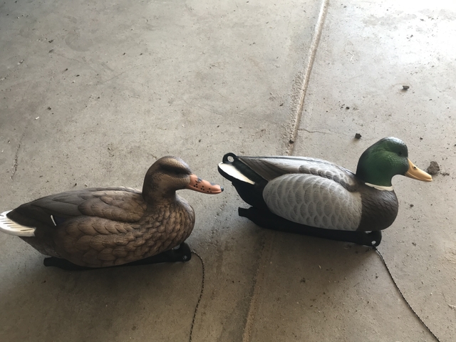 Flambeau Outdoors Duck Decoys Nex Tech Classifieds