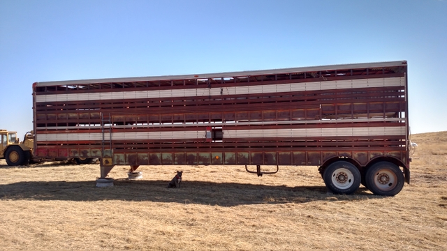 Wilson Cattle Trailer Nex Tech Classifieds