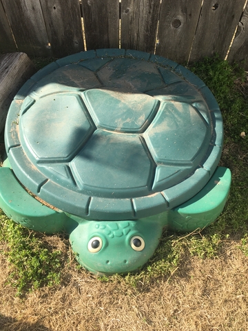 turtle sandbox with cover