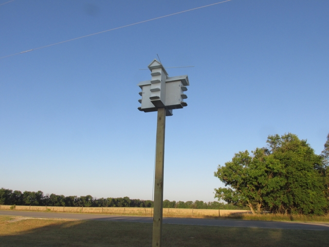 How Big Should The Hole Be For A Purple Martin House