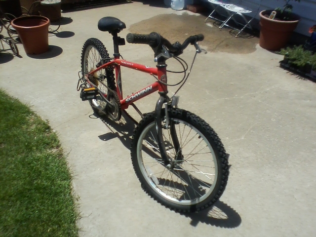 schwinn signature thrasher 20