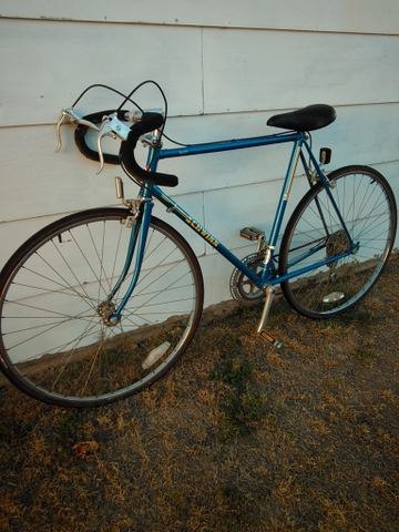 schwinn sprint 10 speed