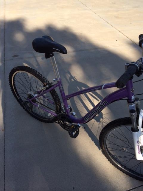 Girls Ladies Schwinn Bicycle Like New Great Bike Nex Tech