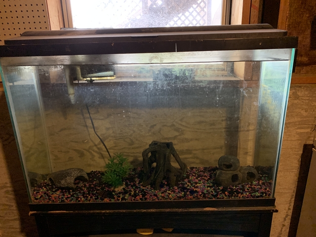 Large Fish Tank - Nex-Tech Classifieds