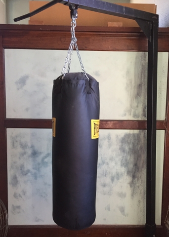 Everlast 80 Lbs Heavy Bag With Stand Gloves