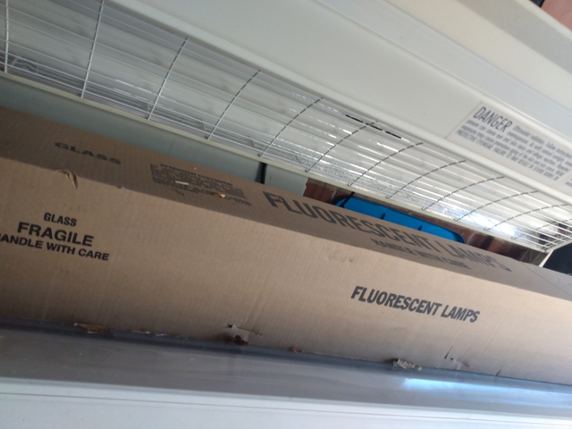 sunquest tanning bed pro16se sunquest tanning bed pro16se