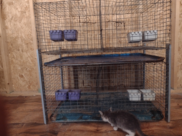 4 hole rabbit sales cage