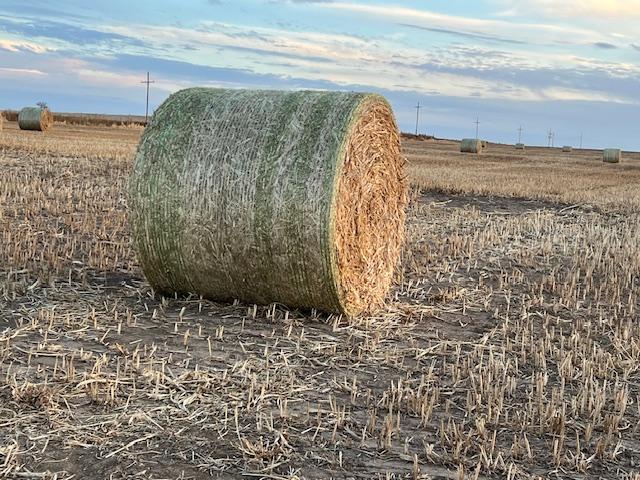 MILO ROUND BALES - Nex-Tech Classifieds