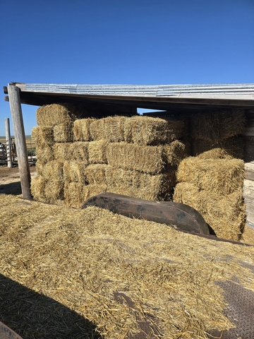Straw bales - Nex-Tech Classifieds