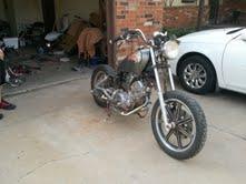 Virago 2024 500 bobber