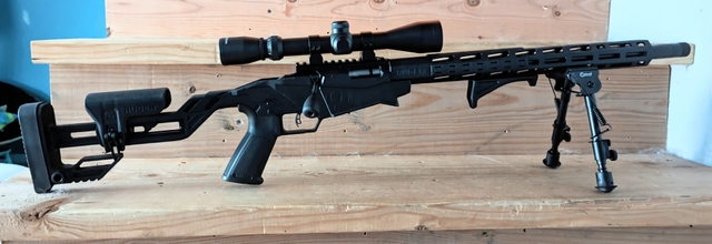 Ruger precision 22 - Nex-Tech Classifieds