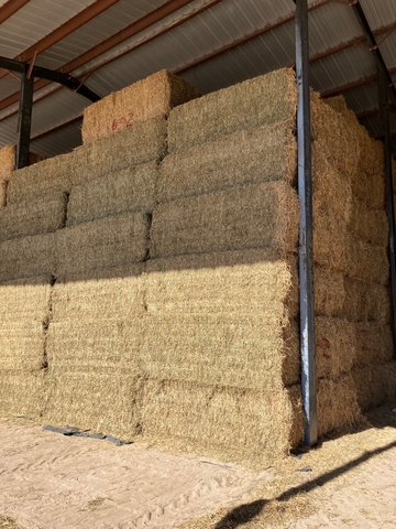 3x3 Alfalfa Hay - 2nd Cutting - Nex-Tech Classifieds