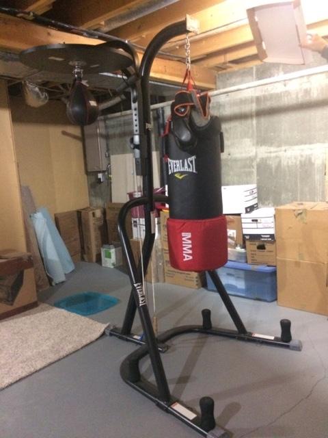 Everlast punching bag stand cheap with pull up bar