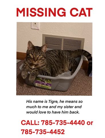 MISSING GREY TABBY - Nex-Tech Classifieds