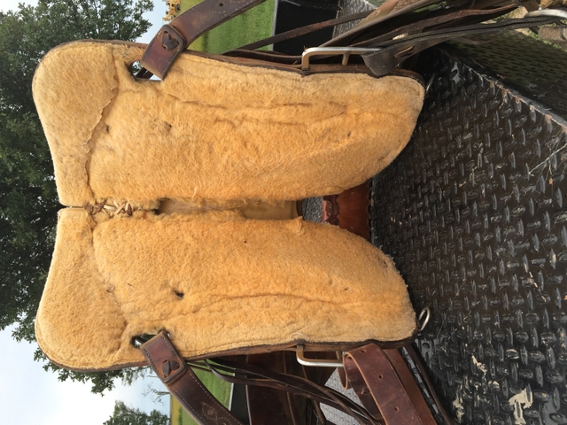 Ralph Shimon Saddle - Nex-Tech Classifieds