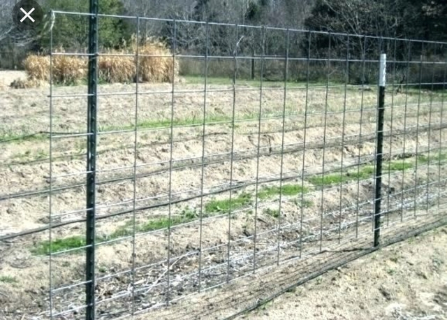 16 Cattle Panels Nex Tech Classifieds