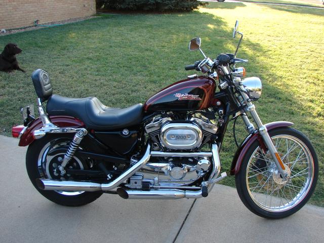 2002 Harley-Davidson XL1200C Sportster - Nex-Tech Classifieds