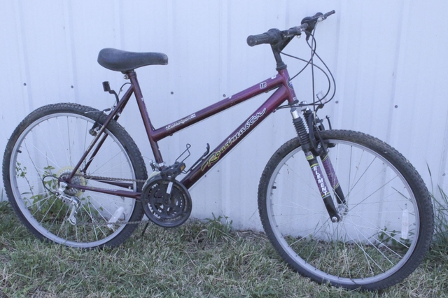 Roadmaster cheap women's bike