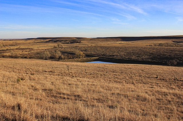 PENDING! 560 +/- Acres In Lincoln County, Kansas - Nex-Tech Classifieds