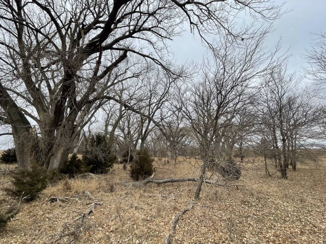 PENDING! 329.14 +/- Acres in Graham County, Kansas - Nex-Tech Classifieds