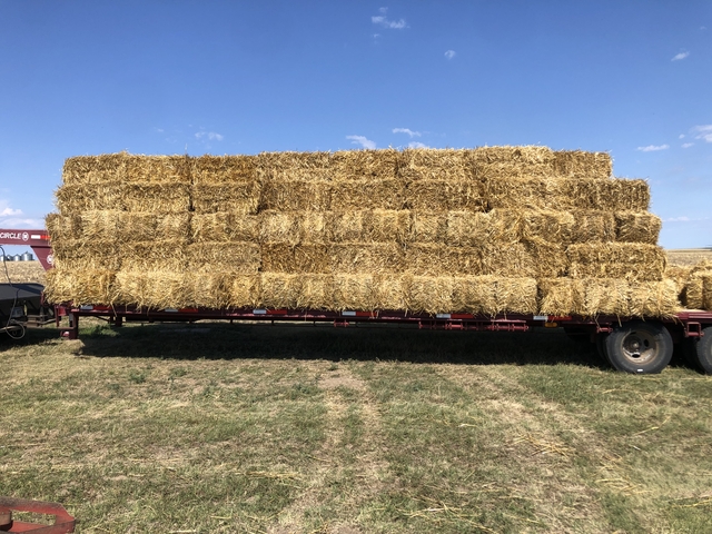 2024 Small Square Bales - Nex-tech Classifieds